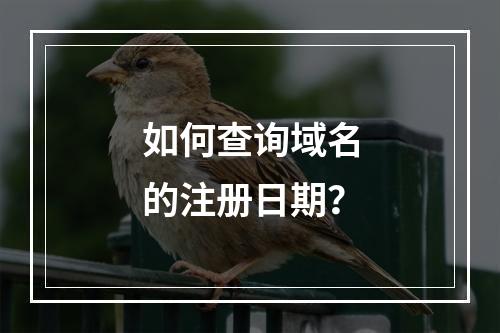 如何查询域名的注册日期?