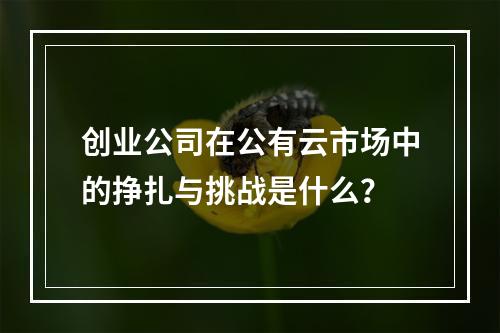 创业公司在公有云市场中的挣扎与挑战是什么?