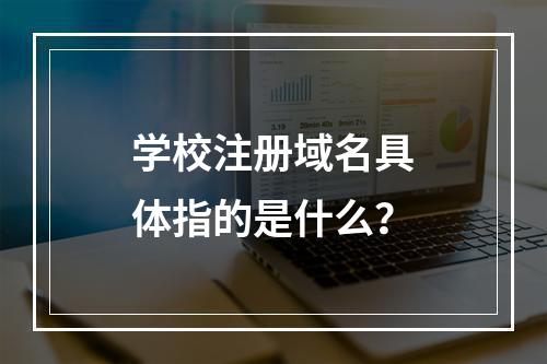 学校注册域名具体指的是什么?