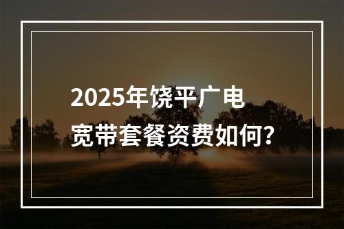 2025年饶平广电宽带套餐资费如何？