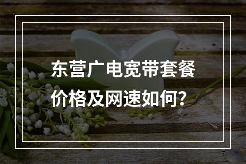 东营广电宽带套餐价格及网速如何？