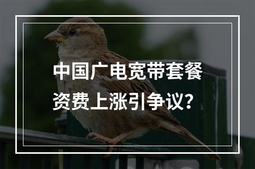 中国广电宽带套餐资费上涨引争议？