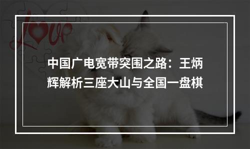 中国广电宽带突围之路：王炳辉解析三座大山与全国一盘棋