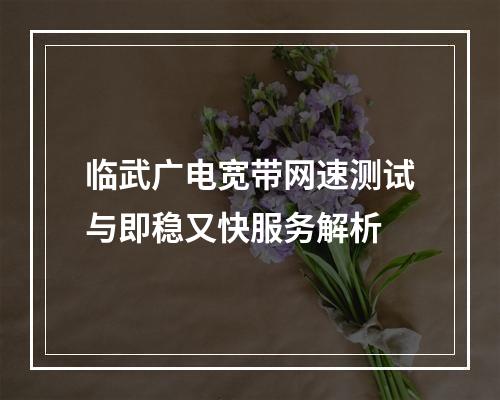 临武广电宽带网速测试与即稳又快服务解析