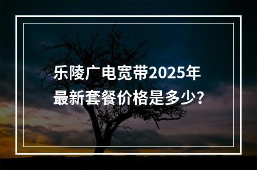 乐陵广电宽带2025年最新套餐价格是多少？