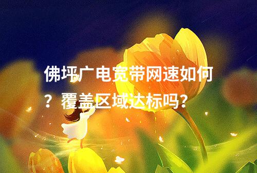 佛坪广电宽带网速如何？覆盖区域达标吗？