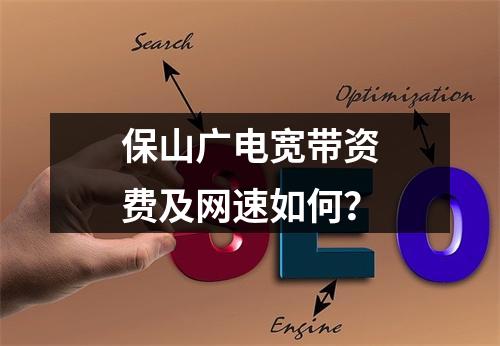 保山广电宽带资费及网速如何？