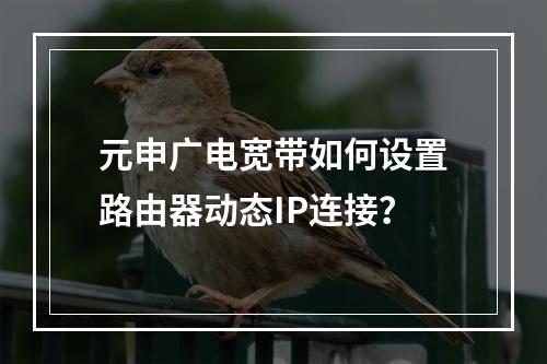 元申广电宽带如何设置路由器动态IP连接？