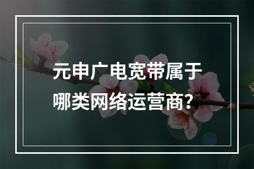元申广电宽带属于哪类网络运营商？