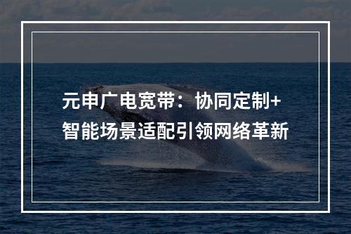 元申广电宽带：协同定制+智能场景适配引领网络革新
