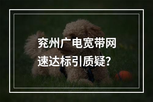 兖州广电宽带网速达标引质疑？