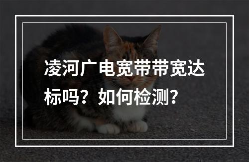 凌河广电宽带带宽达标吗？如何检测？