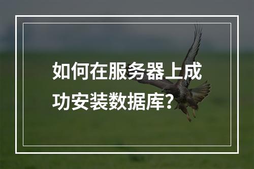 如何在服务器上成功安装数据库?