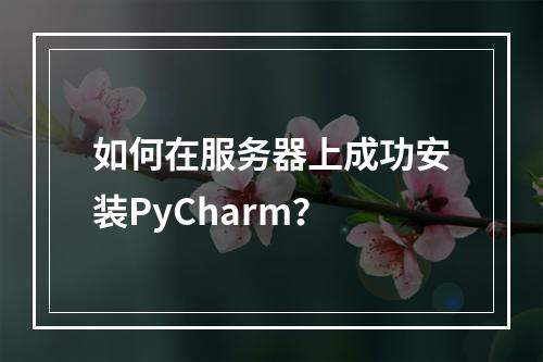 如何在服务器上成功安装PyCharm?
