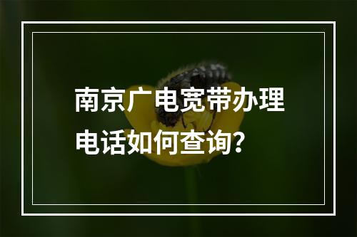 南京广电宽带办理电话如何查询？