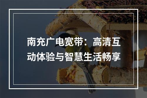 南充广电宽带：高清互动体验与智慧生活畅享