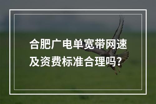 合肥广电单宽带网速及资费标准合理吗？