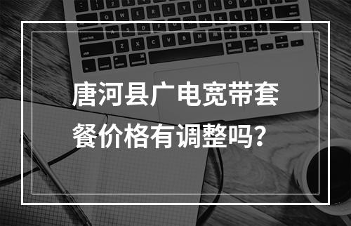 唐河县广电宽带套餐价格有调整吗？