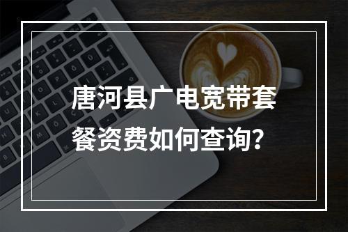 唐河县广电宽带套餐资费如何查询？