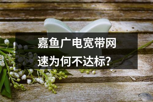 嘉鱼广电宽带网速为何不达标？