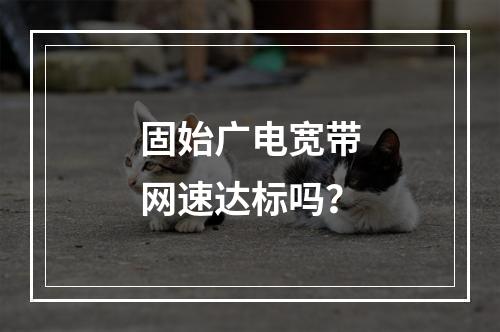 固始广电宽带网速达标吗？