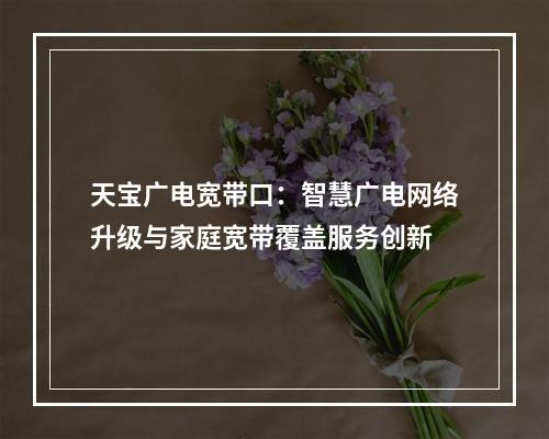 天宝广电宽带口：智慧广电网络升级与家庭宽带覆盖服务创新