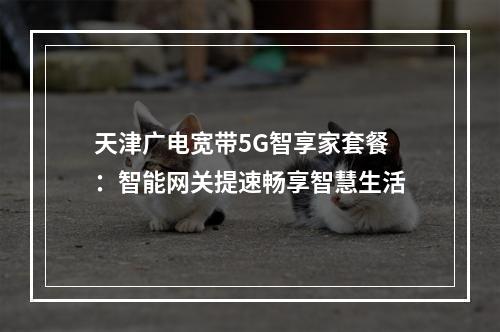 天津广电宽带5G智享家套餐：智能网关提速畅享智慧生活