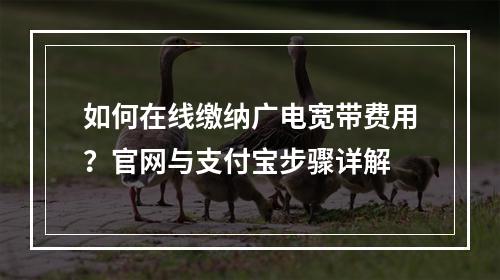 如何在线缴纳广电宽带费用？官网与支付宝步骤详解