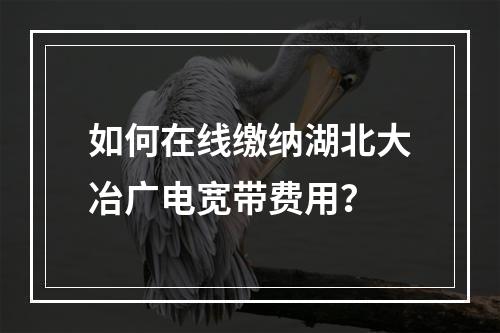 如何在线缴纳湖北大冶广电宽带费用？