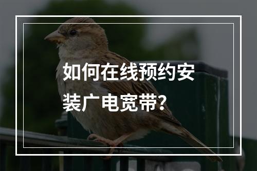 如何在线预约安装广电宽带？