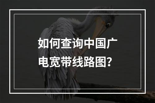 如何查询中国广电宽带线路图？