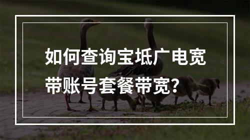 如何查询宝坻广电宽带账号套餐带宽？