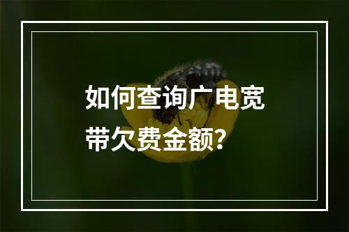 如何查询广电宽带欠费金额？