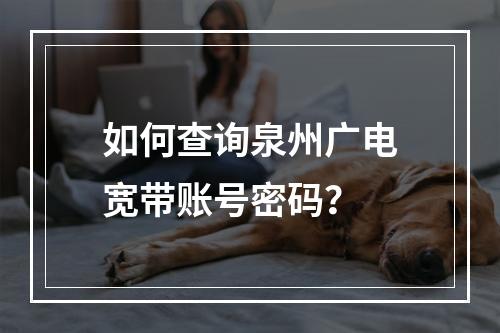 如何查询泉州广电宽带账号密码？