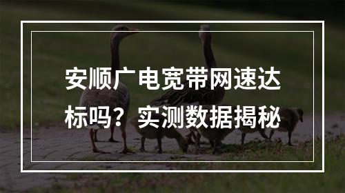 安顺广电宽带网速达标吗？实测数据揭秘