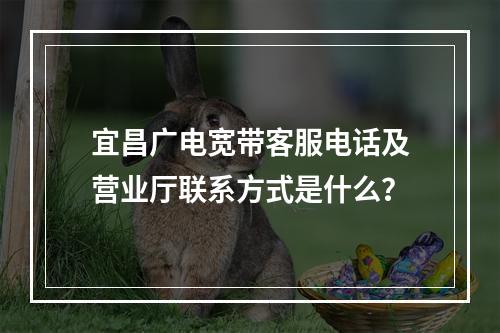 宜昌广电宽带客服电话及营业厅联系方式是什么？