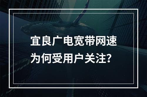 宜良广电宽带网速为何受用户关注？