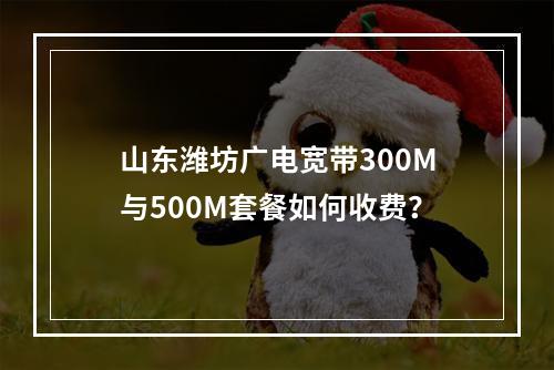 山东潍坊广电宽带300M与500M套餐如何收费？