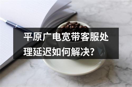 平原广电宽带客服处理延迟如何解决？