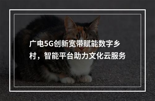 广电5G创新宽带赋能数字乡村，智能平台助力文化云服务