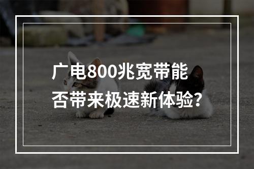 广电800兆宽带能否带来极速新体验？
