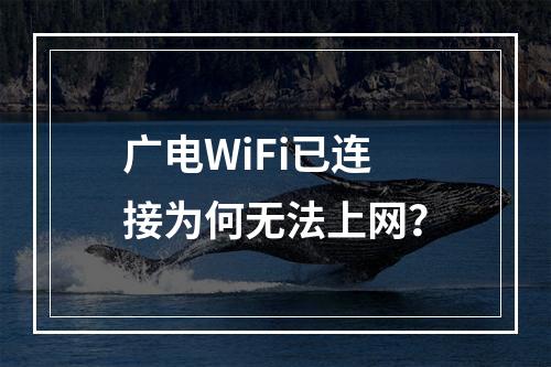 广电WiFi已连接为何无法上网？