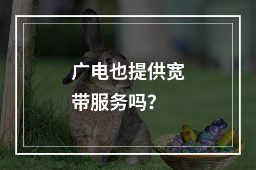 广电也提供宽带服务吗？