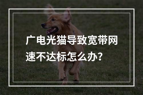 广电光猫导致宽带网速不达标怎么办？