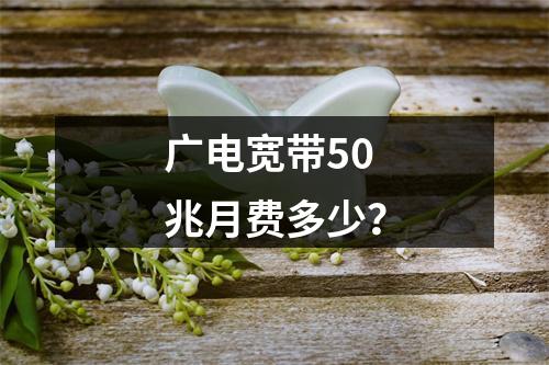 广电宽带50兆月费多少？