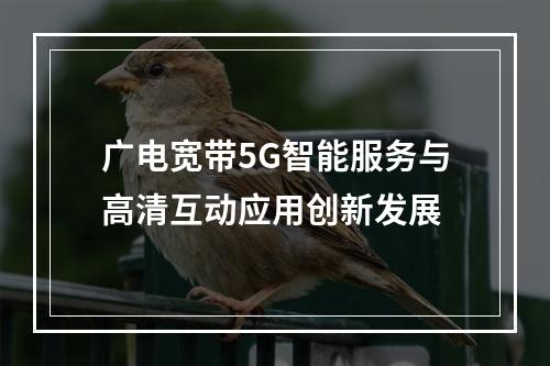 广电宽带5G智能服务与高清互动应用创新发展