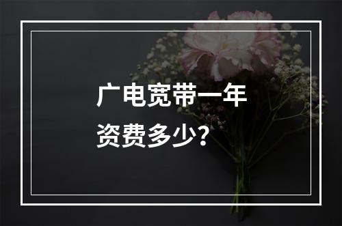 广电宽带一年资费多少？