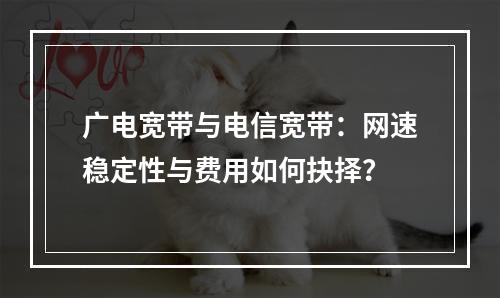 广电宽带与电信宽带：网速稳定性与费用如何抉择？