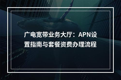 广电宽带业务大厅：APN设置指南与套餐资费办理流程