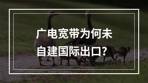 广电宽带为何未自建国际出口？